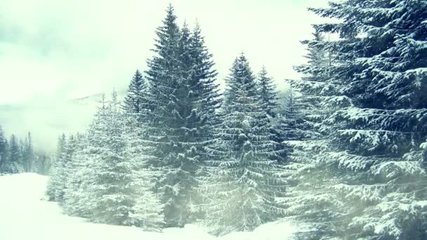 Snowing on trees. Winter in mountains. Seamless