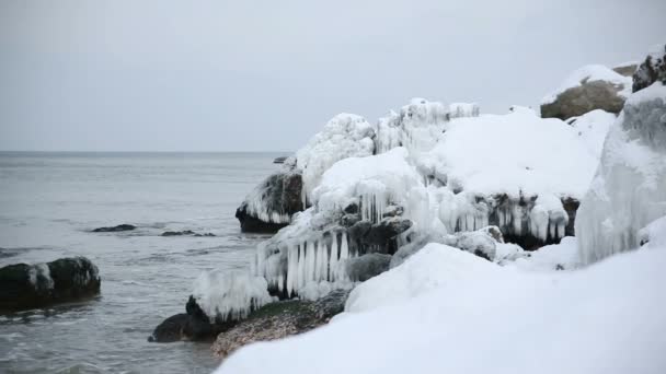 冬のバルト海の海岸は雪と氷で覆われています。リエパーヤ、ラトビア. — ストック動画