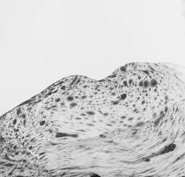 Gizemli gri yüzeyi. Soyut resim üzerinde beyaz izole