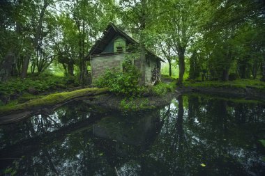 Litvanya ormandaki gizemli eski evi terk