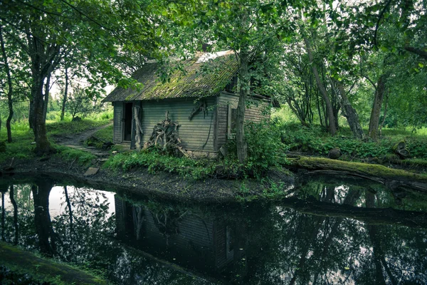 Litvánia erdőben elhagyott misztikus régi ház — Stock Fotó