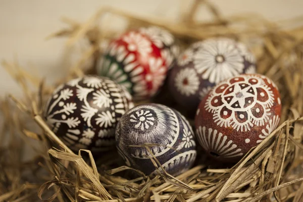 saman yuvadaki yumurta