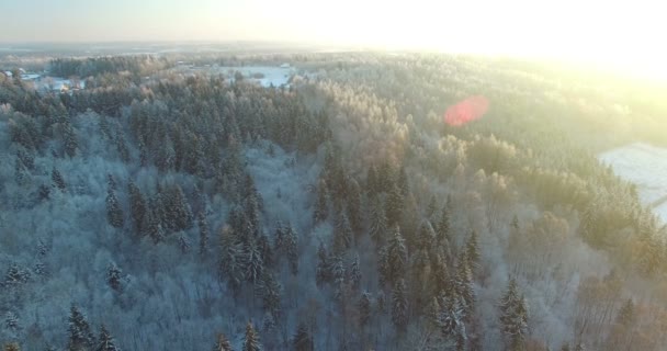 AERIAL: Beautiful flight down above frozen forest. Winter sunset — Stock Video
