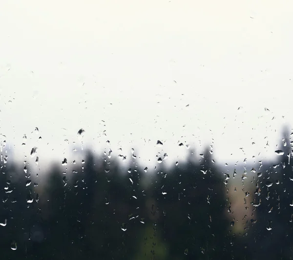 Gotas de água naturais no vidro da janela com fundo da natureza — Fotografia de Stock