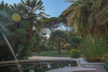 Şehir parkının botanik bahçesi Soçi antik mimari bitkileri