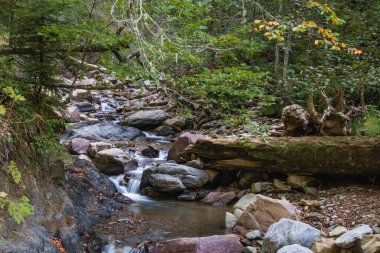 Soçi 'deki Mendelikha Şelale Parkı