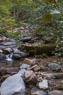 Soçi 'deki Mendelikha Şelale Parkı