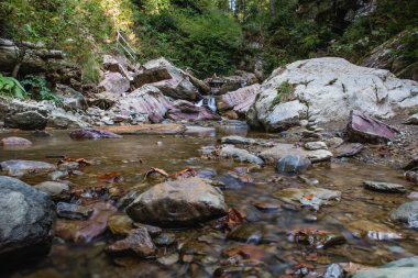 Soçi 'deki Mendelikha Şelale Parkı