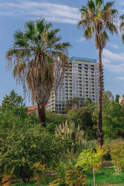 Şehir parkının botanik bahçesi Soçi antik mimari bitkileri