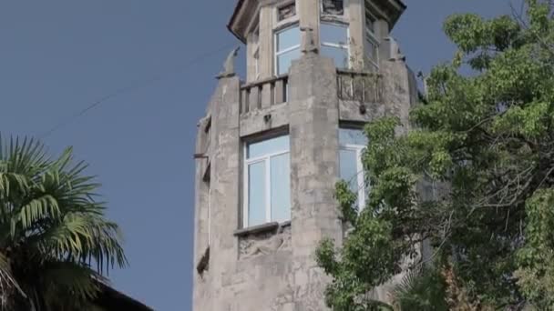 Abandonado elementos do palácio de arquitetura — Vídeo de Stock