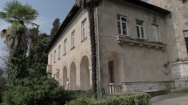 Verlassene Palastelemente der Architektur — Stockvideo