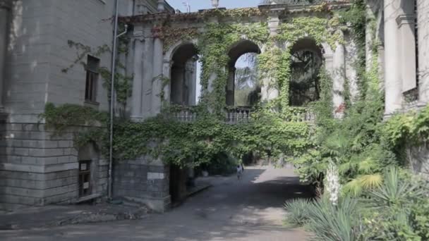 Abandonado elementos do palácio de arquitetura — Vídeo de Stock
