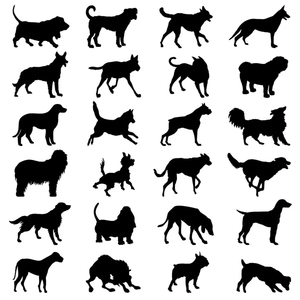 Dog collection - icon great for any use. Vector EPS10. — Stock Vector