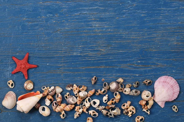 Schelpen en zeesterren in de vorm van frames op een achtergrond van — Stockfoto