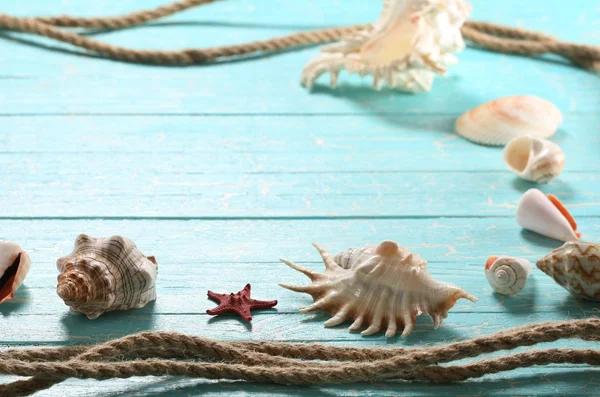 Schelpen, zeesterren en een touw op een achtergrond van geschilderde zwijnen — Stockfoto