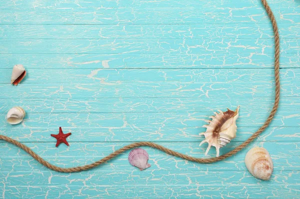 Seashells, starfish and a rope   on a background of painted boar — Stock Photo, Image