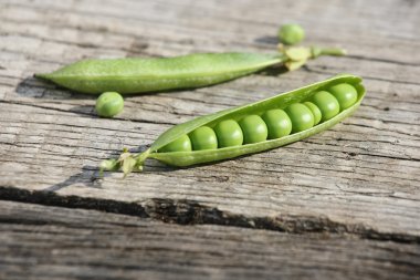 bakla taze bezelye onwooden panoları