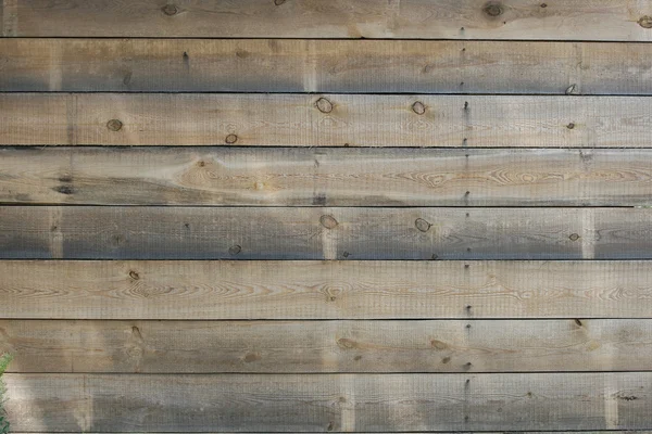 Vieux planches en bois fond — Photo