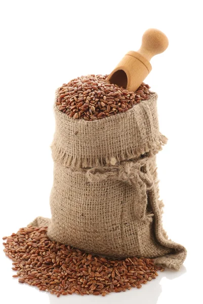 Braunes Reiskorn "devzira" im Sack mit Schaufel auf weißem — Stockfoto