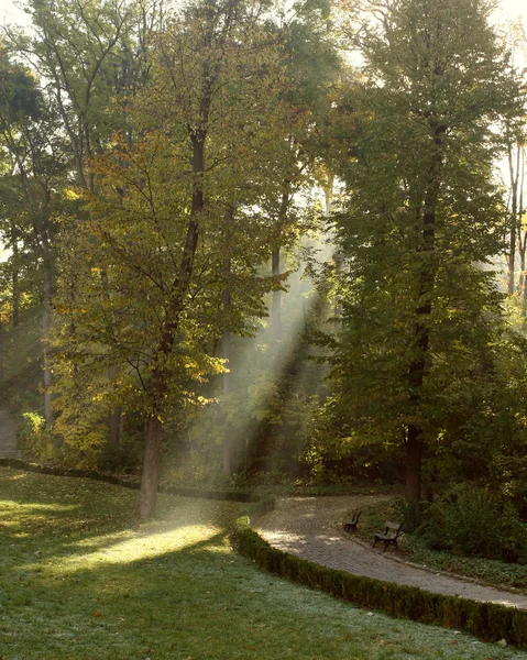 The sun's rays make  in autumn park — Stock Photo, Image