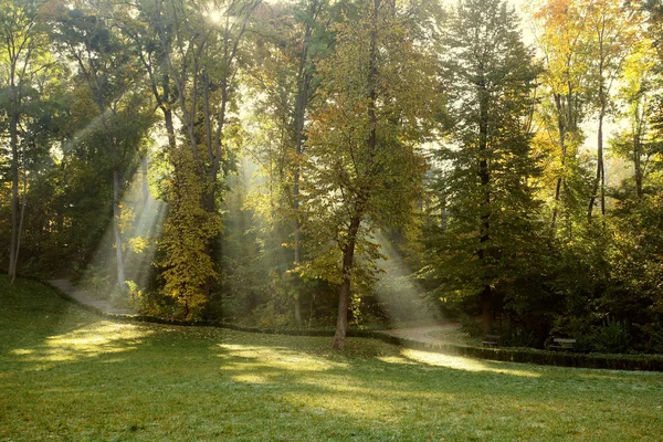 The sun's rays  in autumn park — Stock Photo, Image