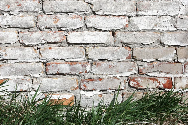Gras op een achtergrond van een bakstenen muur geschilderd proberen witte verf — Stockfoto