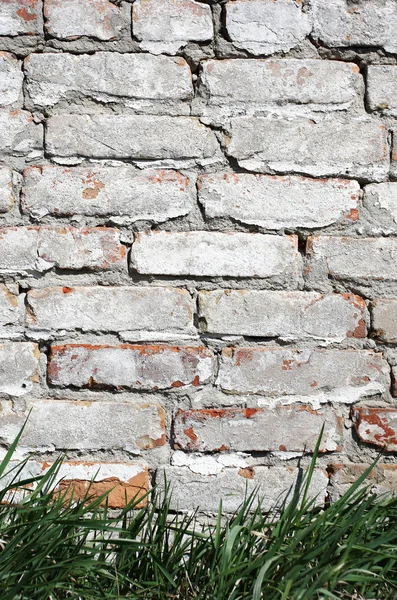 Gras op een achtergrond van een bakstenen muur geschilderd proberen witte verf — Stockfoto