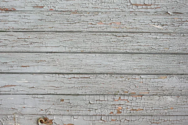 Pintura gris agrietada en el fondo de las tablas . —  Fotos de Stock