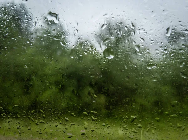 Pencerede yağmur damlaları ve arka planda bulanık orman