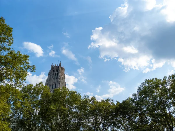 Slunečný Výhled Věž Kostela Riverside Nad Stromy — Stock fotografie