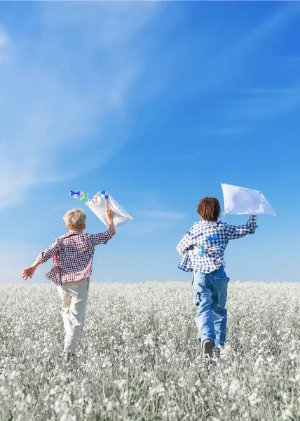 Les Jeunes Garçons Sur Terrain Avec Cerf Volant Par Une — Photo