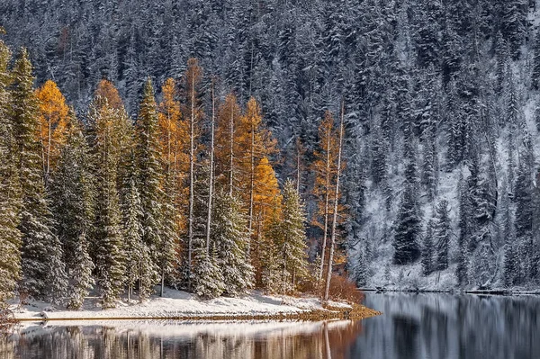 Montanha Lago Outono Manhã Fria Lake Cheybekkel Distrito Ulagansky Altai — Fotografia de Stock