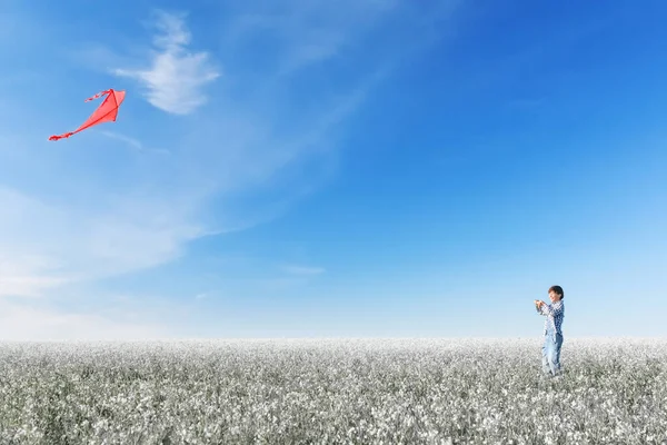 Jonge Jongen Het Veld Met Een Vlieger Een Zomerse Zonnige Stockfoto