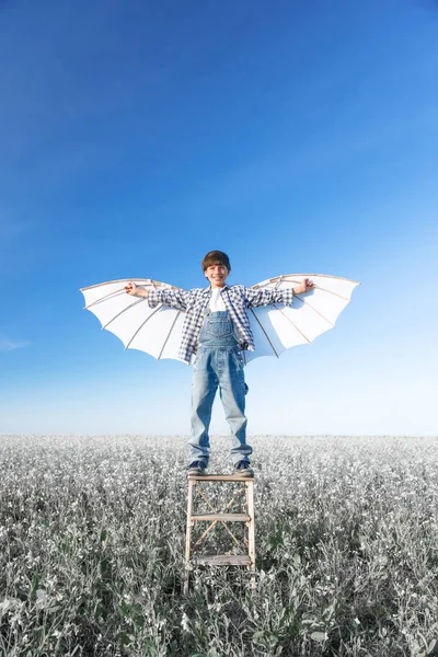 Kleiner Junge Mit Flügeln Auf Einem Feld Einem Sonnigen Tag lizenzfreie Stockfotos