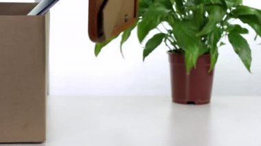 Genç kadın ambalaj kutusu