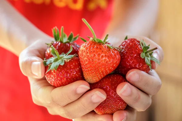 Fresh strawberries picked from a strawberry farm — Stock Photo, Image