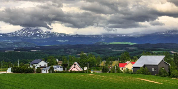 Maisons dans un champ d'herbe avec des chaînes de montagnes fond — Photo