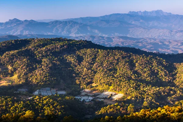 Tropical forest and mountain ranges — Stock Photo, Image