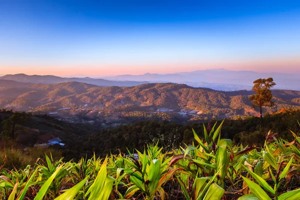 Tropical forest and mountain ranges — Stock Photo, Image