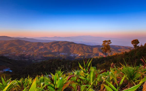 Tropical forest and mountain ranges — Stock Photo, Image