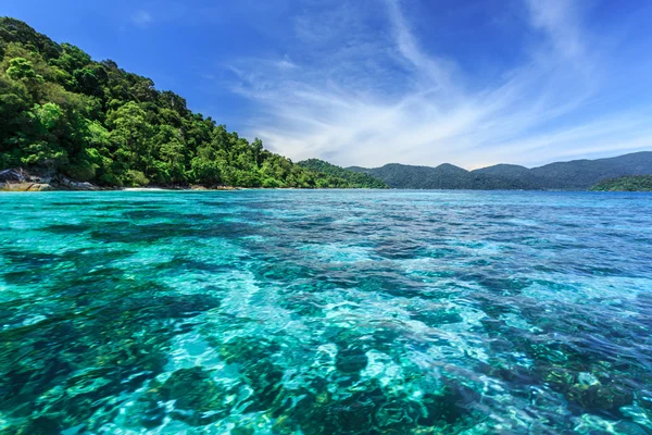 Barriera corallina sotto il mare cristallino sull'isola tropicale — Foto Stock