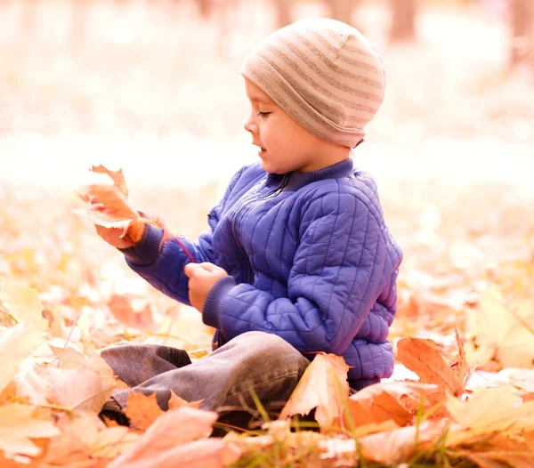 Portrait of a little boy in autumn park — Stock Photo, Image