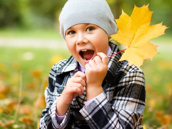 Portrait of a little girl in autumn park — Stock Photo, Image