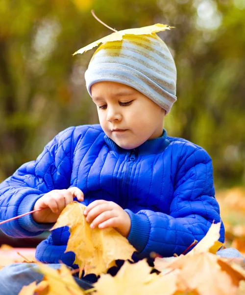 Porträt eines kleinen Jungen im Herbstpark — Stockfoto
