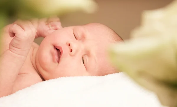 Noworodek noworodka — Zdjęcie stockowe