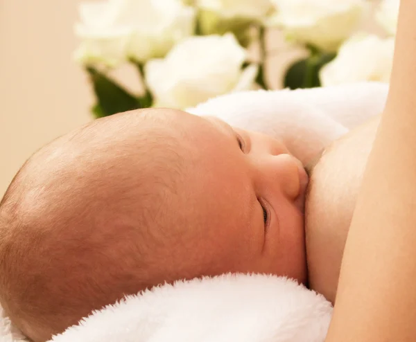 Newborn sucks mother's breast — Stock Photo, Image