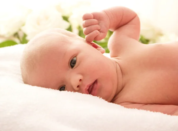 Schattige baby pasgeboren — Stockfoto