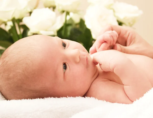 Schattige baby pasgeboren — Stockfoto