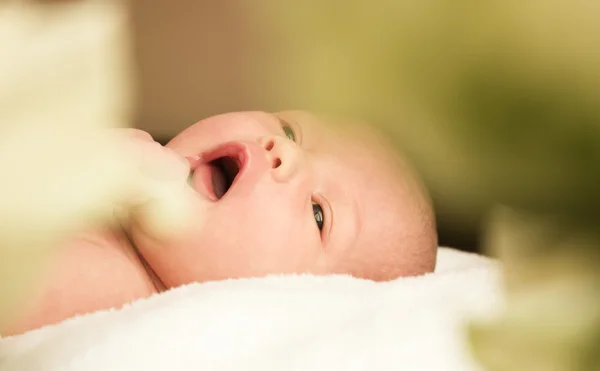 Schattige baby pasgeboren — Stockfoto