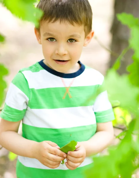 O rapaz está a brincar na floresta. — Fotografia de Stock
